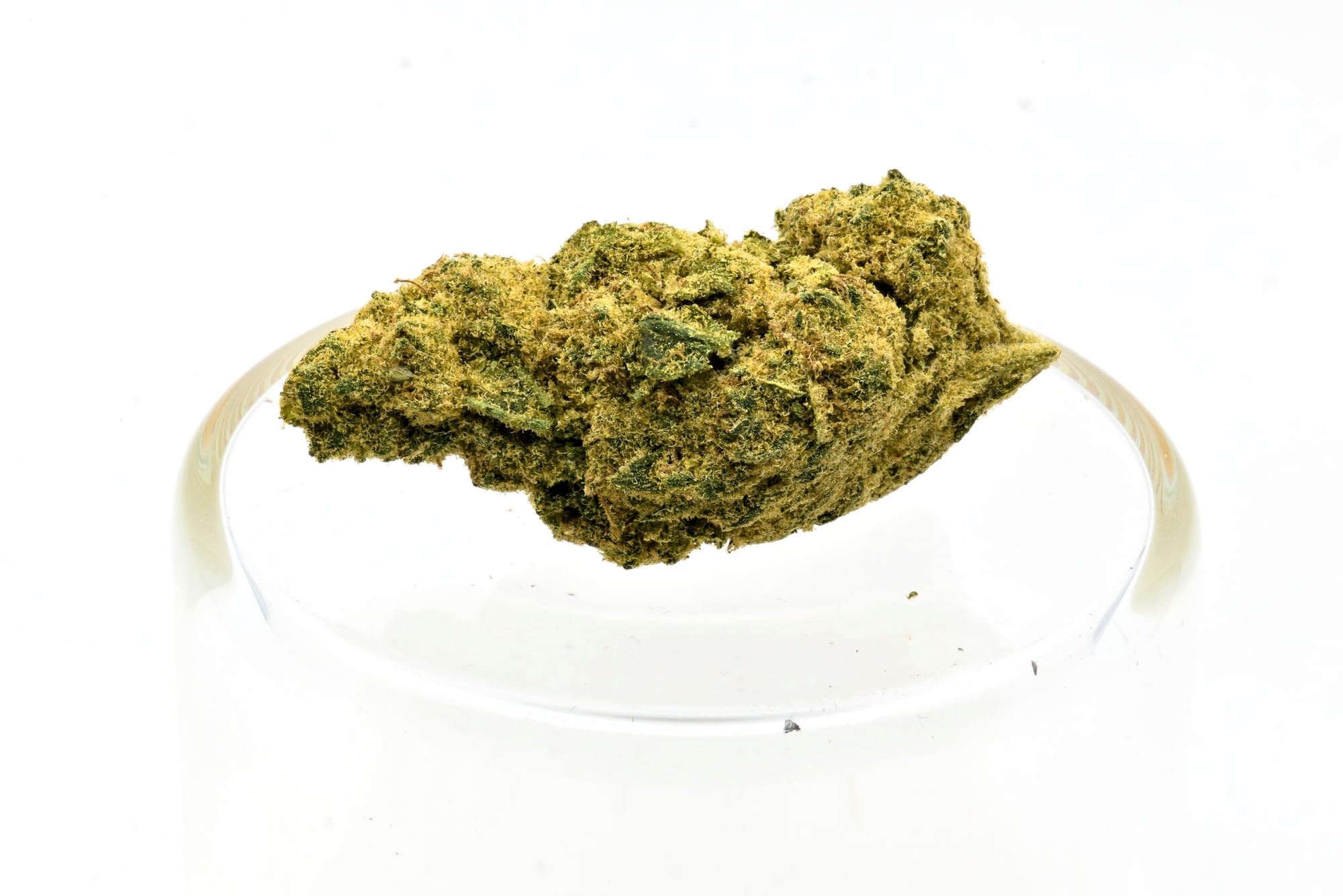 Oaxacan Haze From Ministry of Sativa