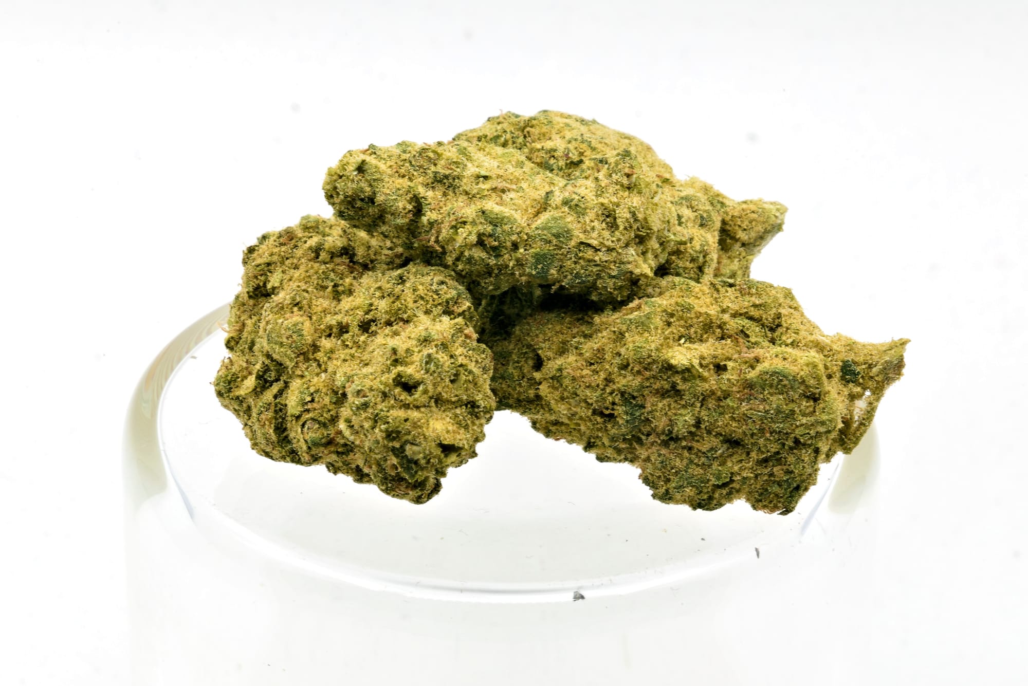 Oaxacan Haze From Ministry of Sativa