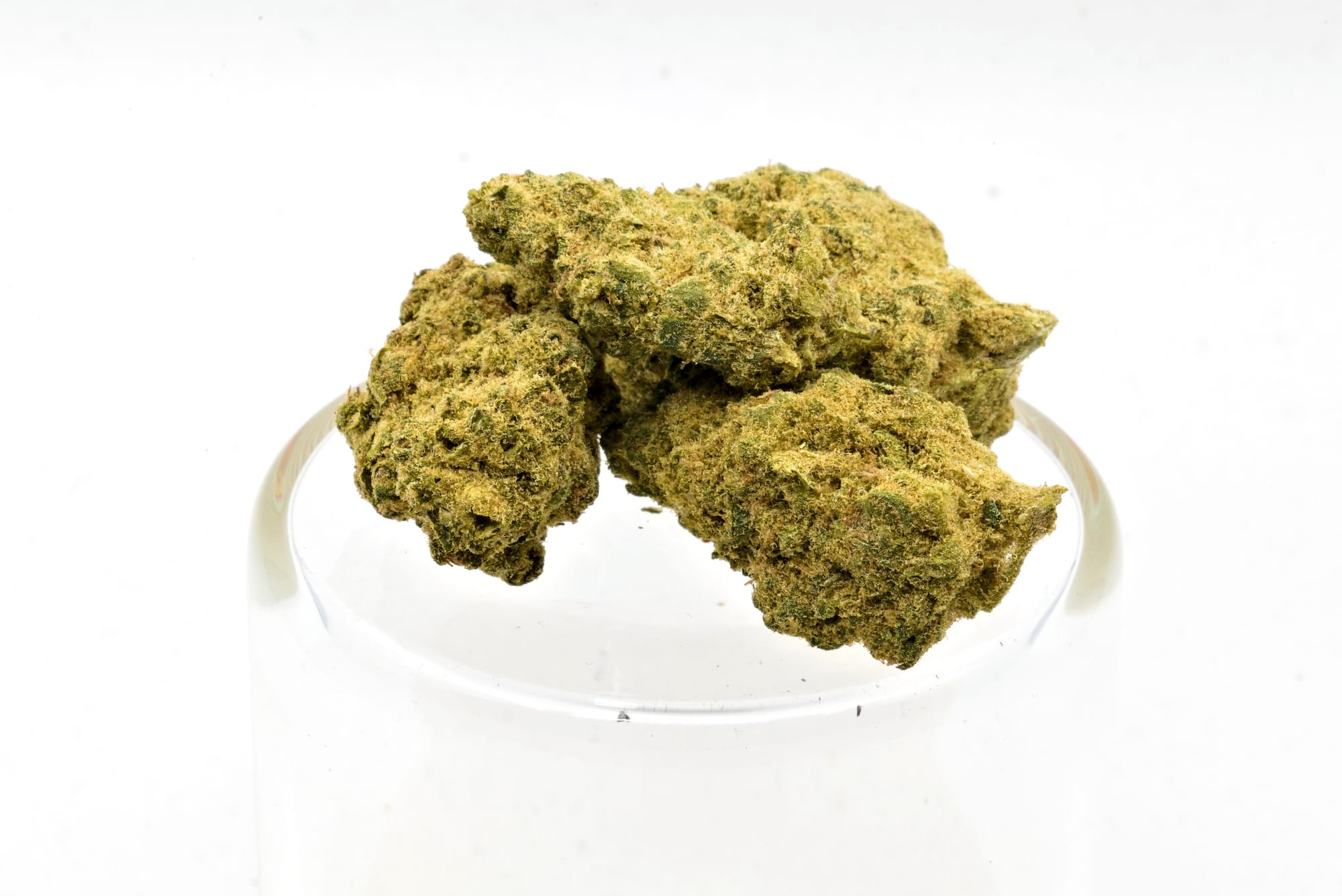 Oaxacan Haze From Ministry of Sativa