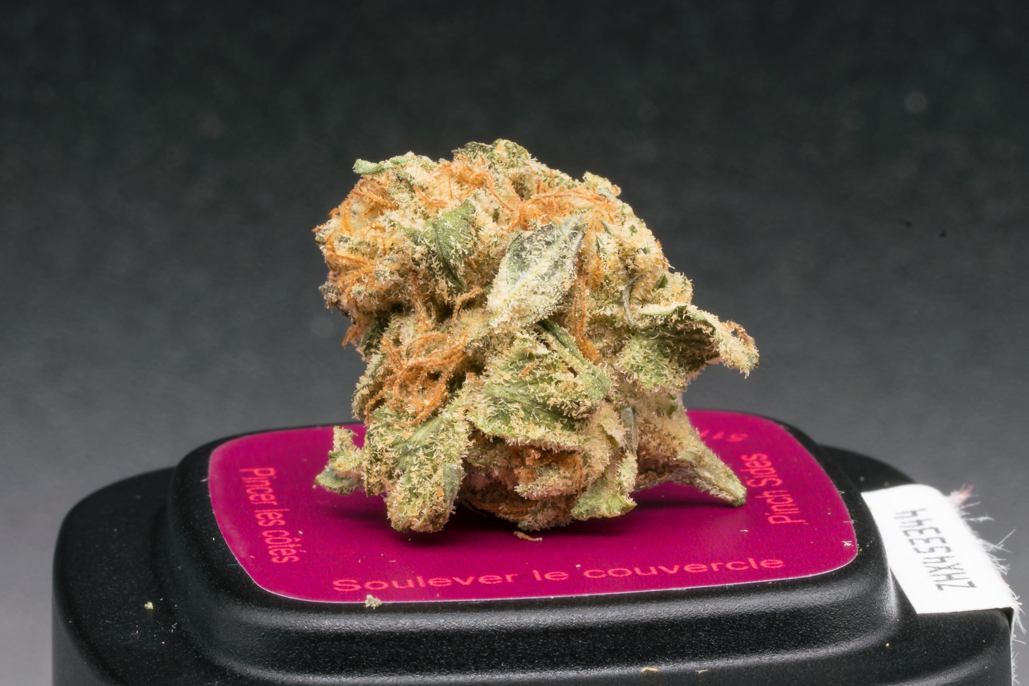 OGEN Bacio Punch #8