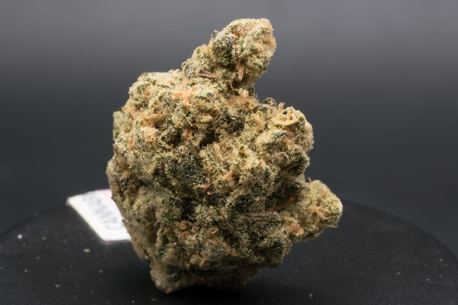 Captain Crunch Toast