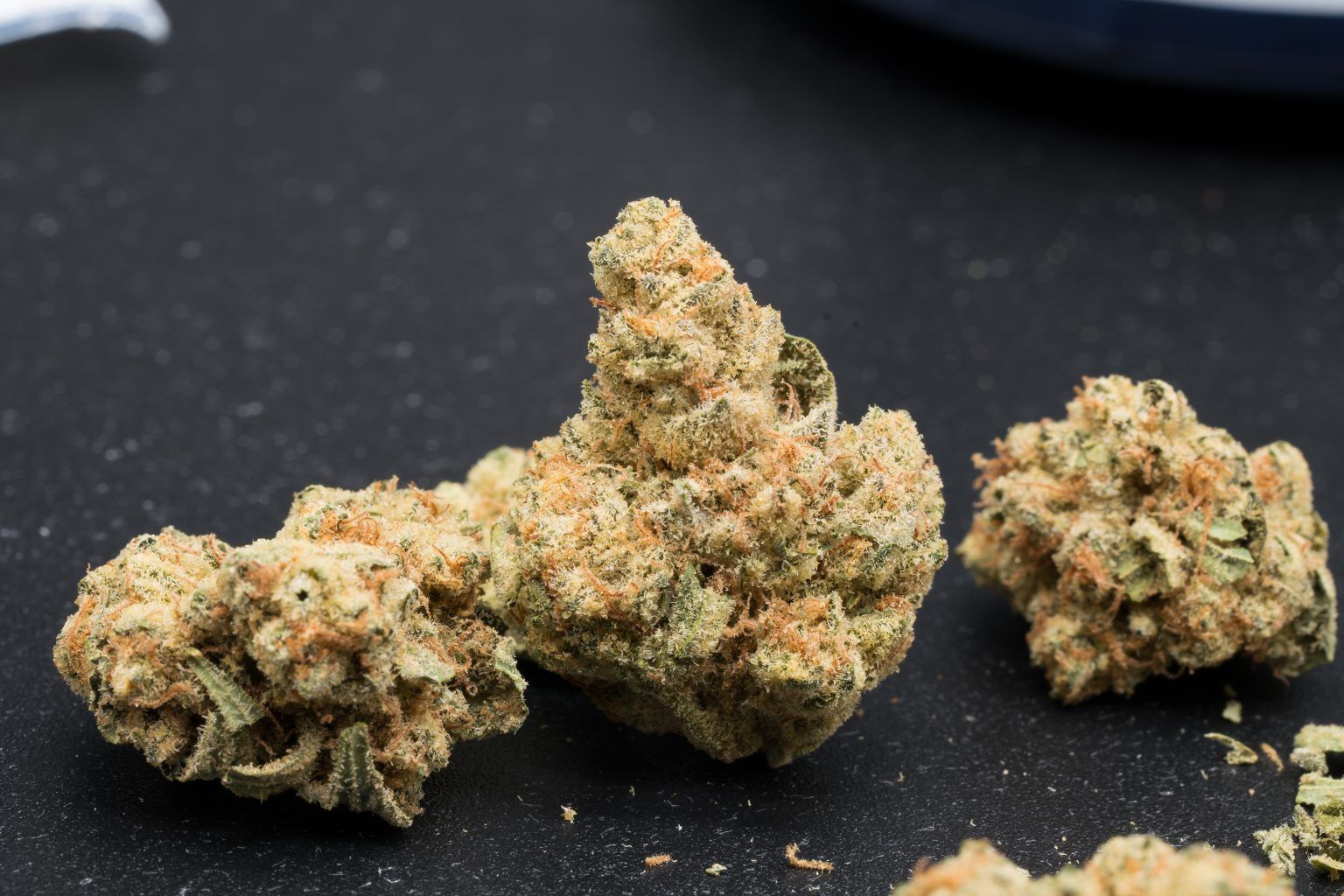 Edison Cookieberry OG