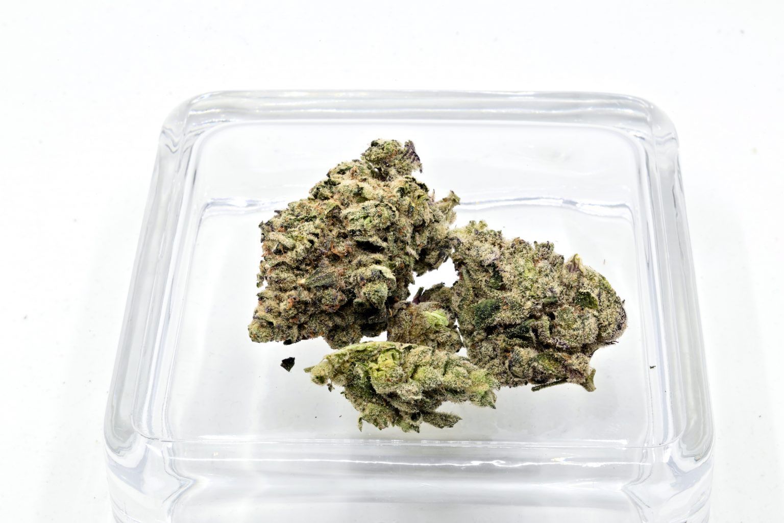 -Ness Jelly Breath