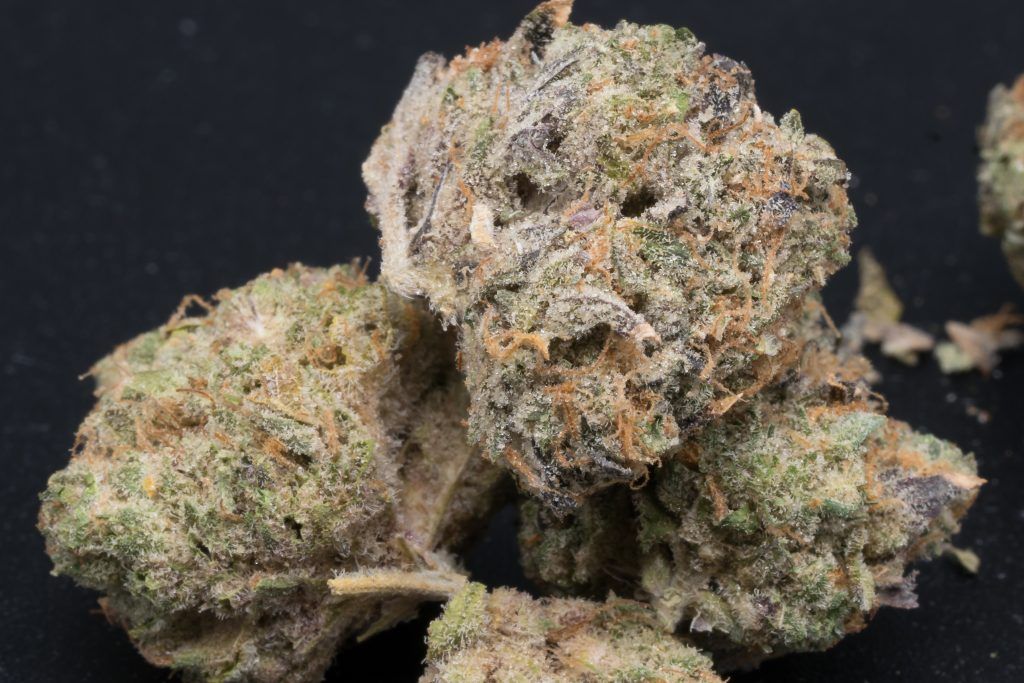 Pineapple Buds Pineapple Party