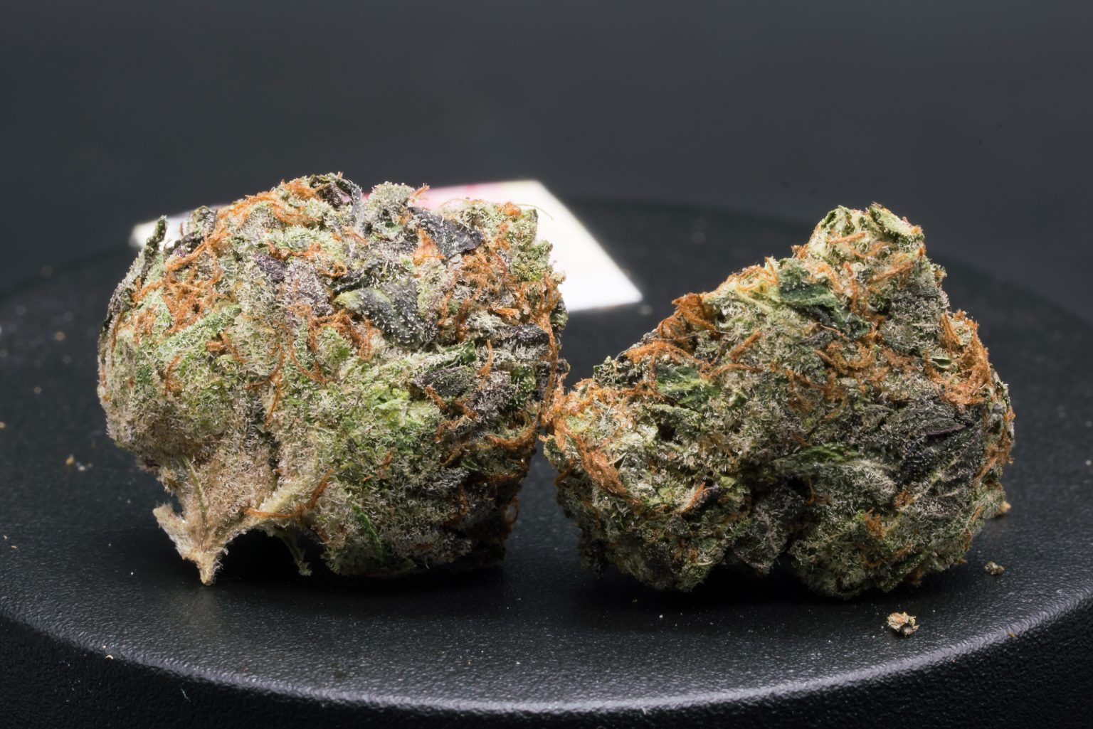 (Godfather OG x Pink Kush) / MK Ultra grown by Dre