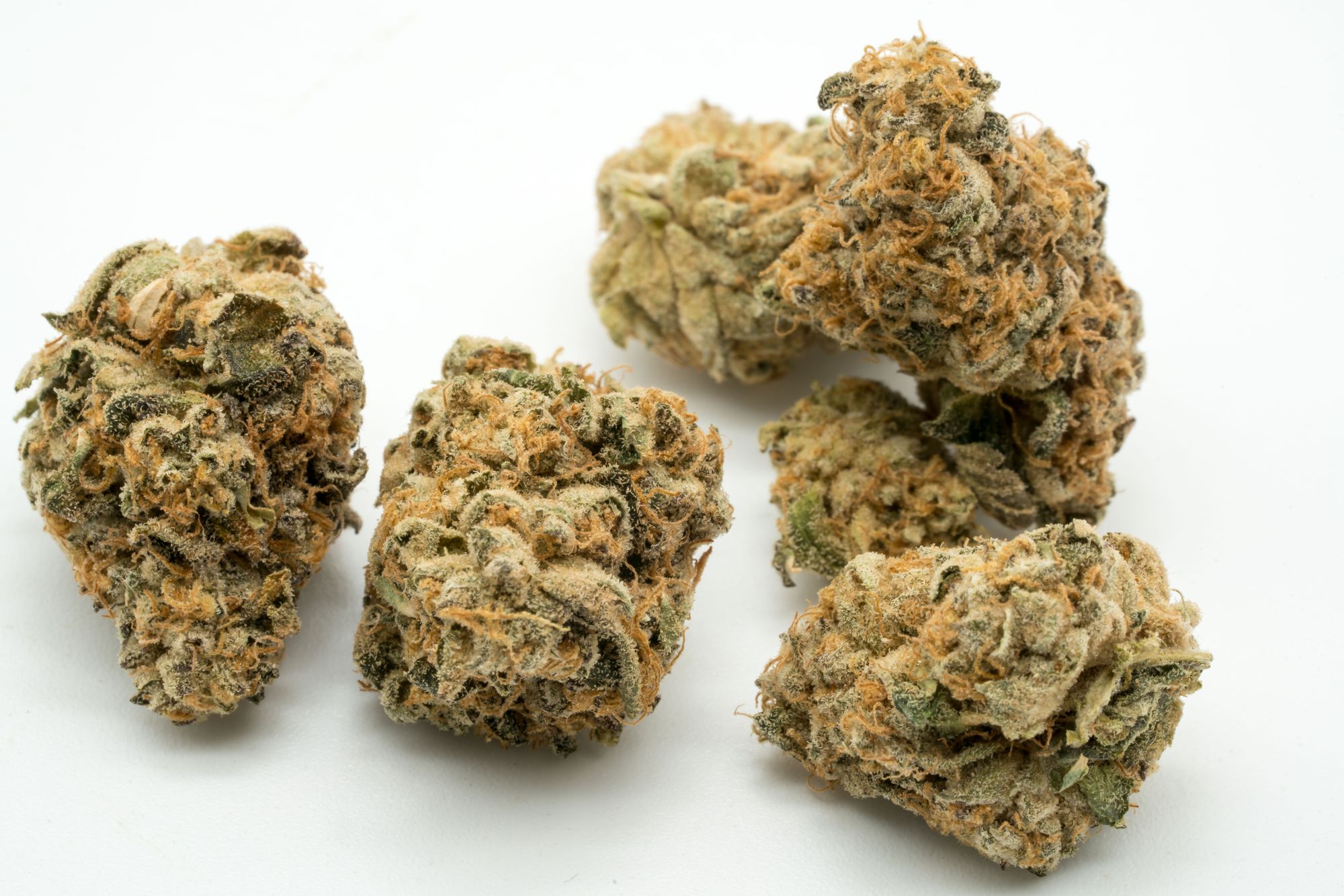 Next Friday Animal Ice Mints