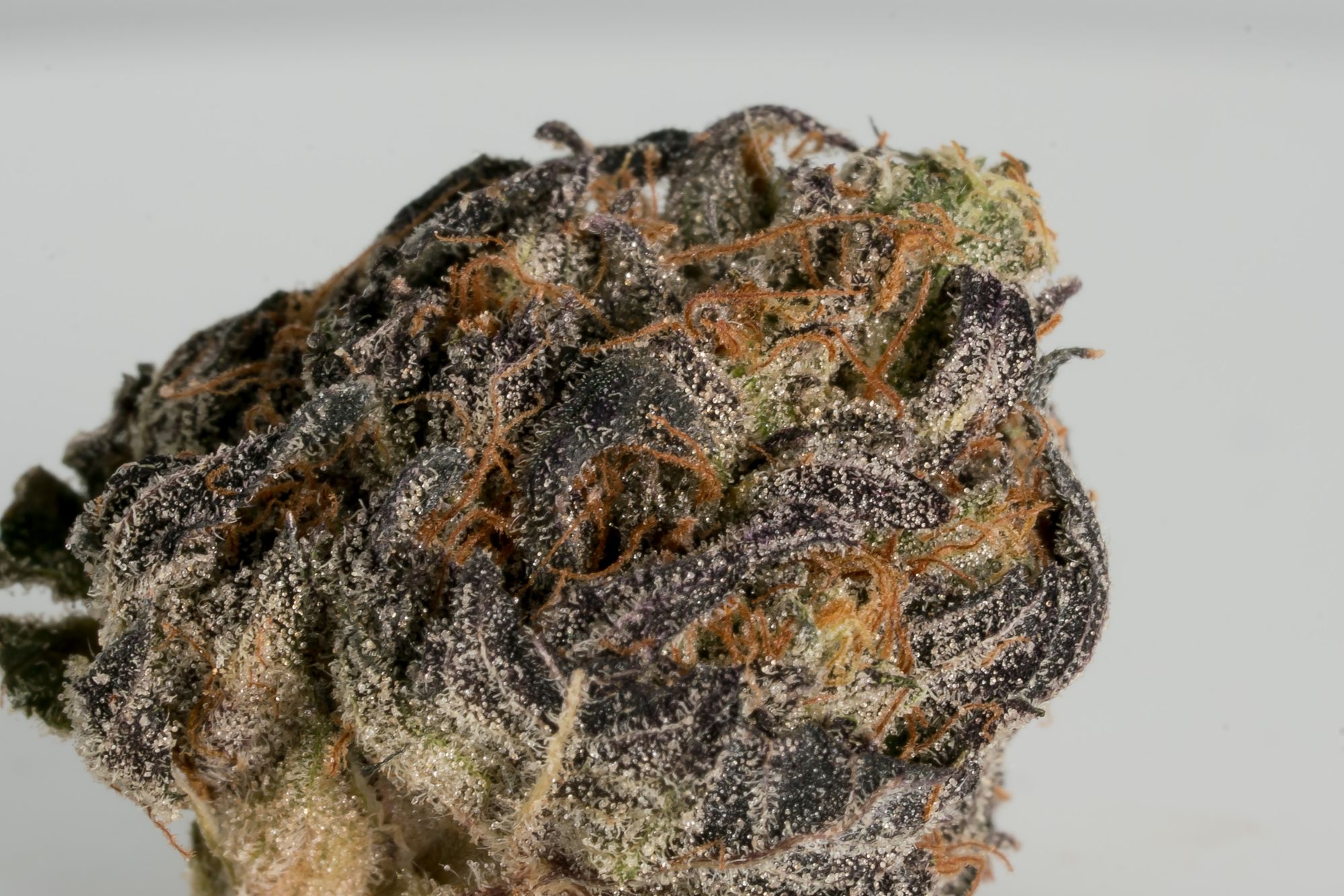 Ice Cream Cake (the Jamie cut) by The Loud Reserve