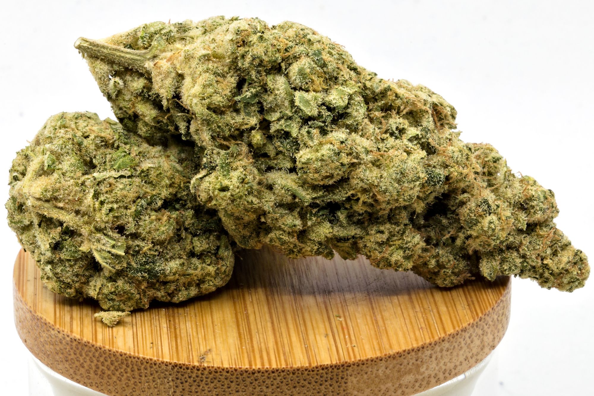 Mango Mac From Victoria Cannabis Company