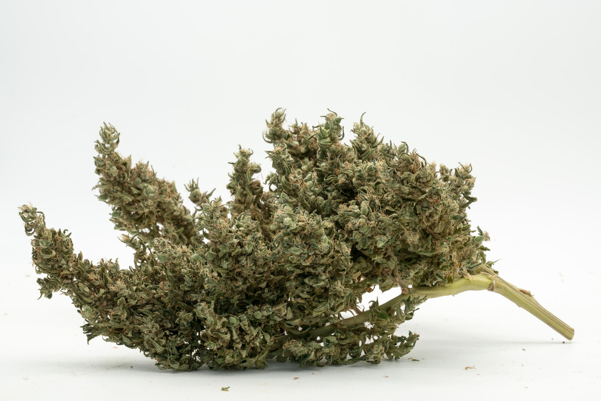 Home Grow Data