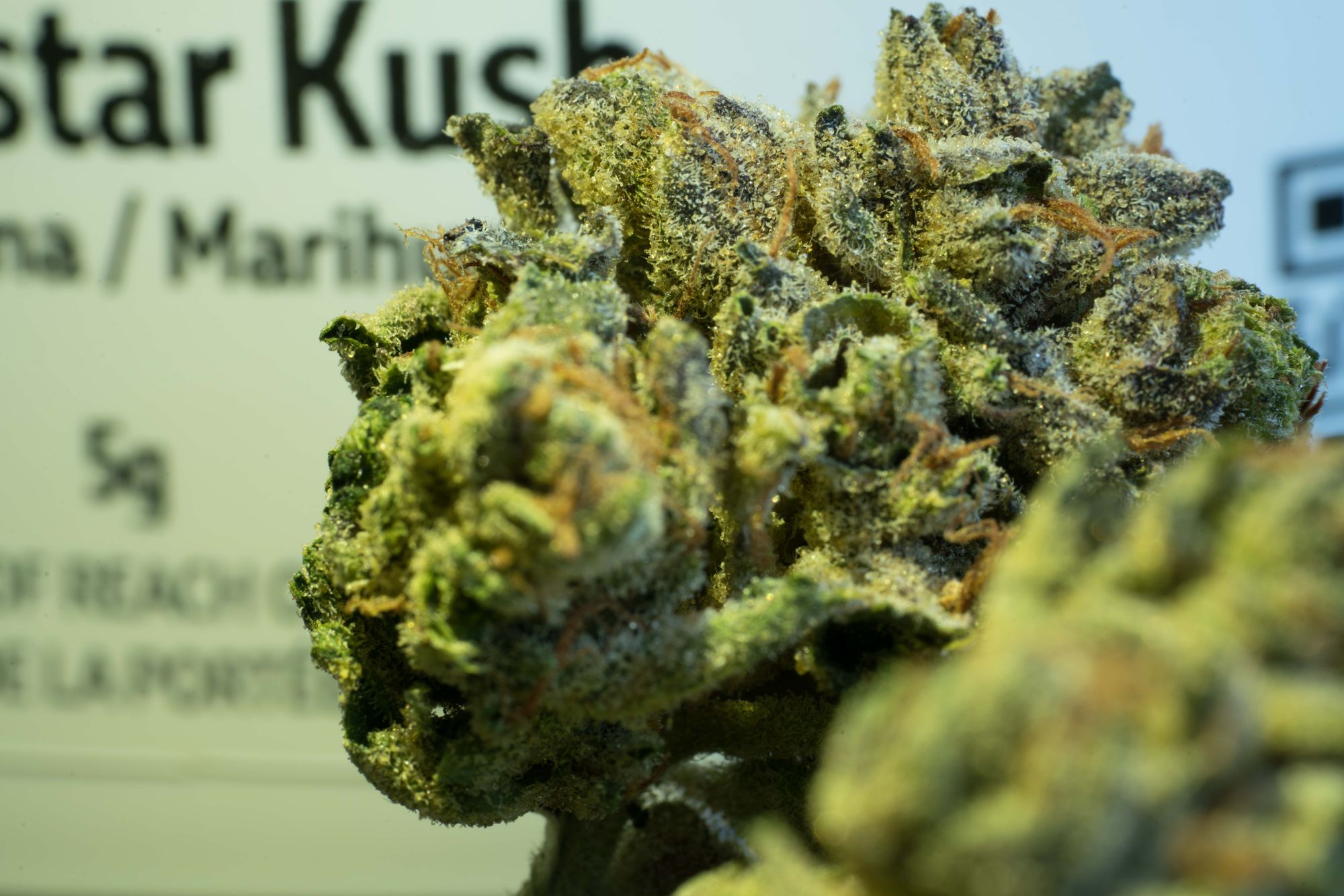 Rockstar Kush by James E Wagner Cultivation