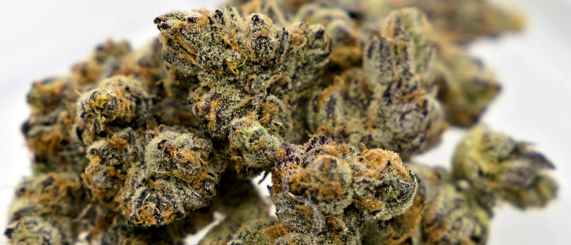 Organnicraft Platinum Grapes