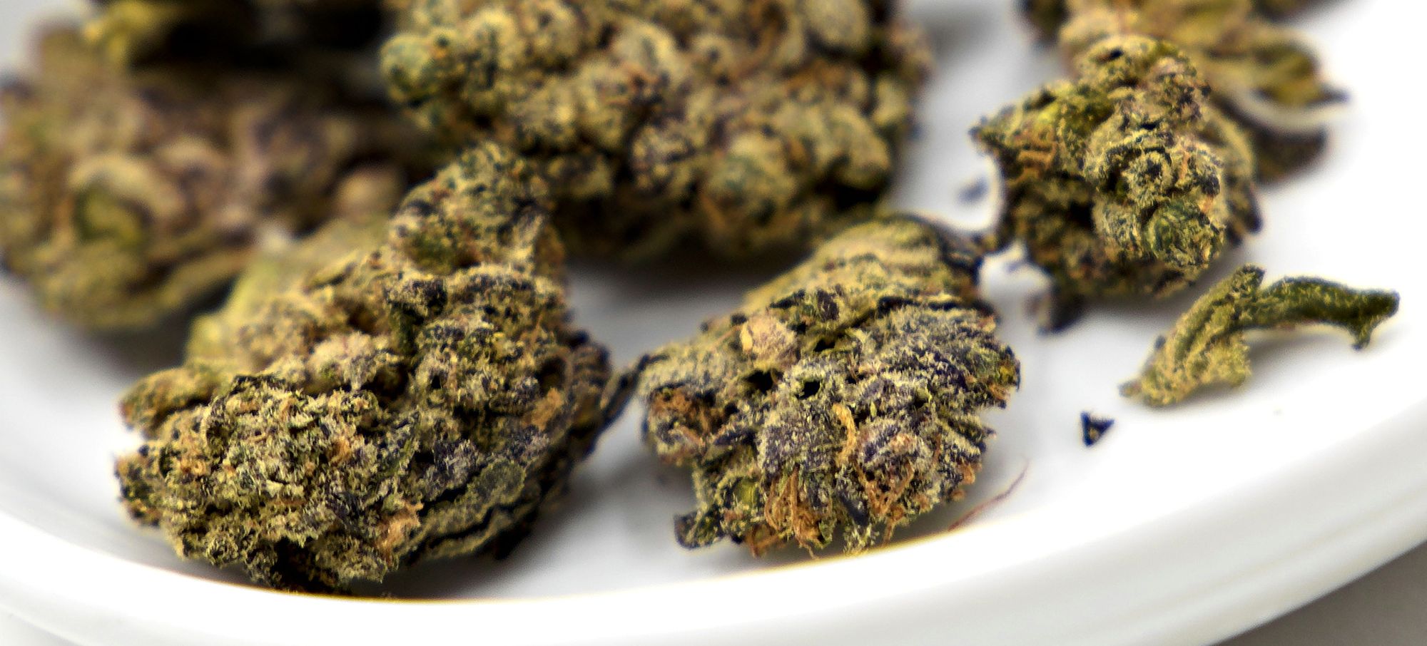 Muskoka Grown Pink Vanilla OG