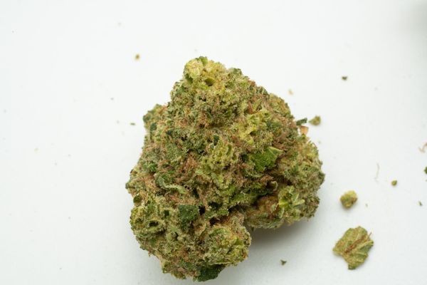San Rafael '71 Electric Honeydew