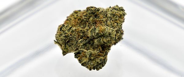 Pink From Carmel