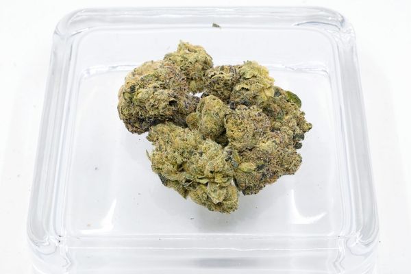 Strains Limited RNTZ