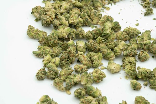 Pure SunFarms Bubble Mints