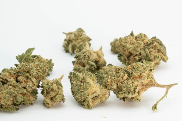 Pure SunFarms Lemon Octane
