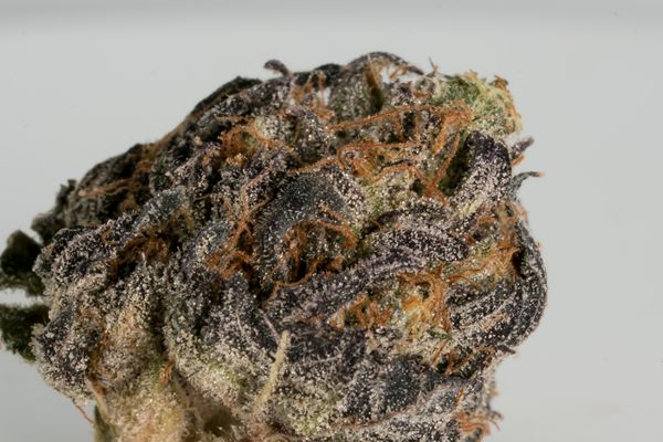 Ice Cream Cake (the Jamie cut) by The Loud Reserve