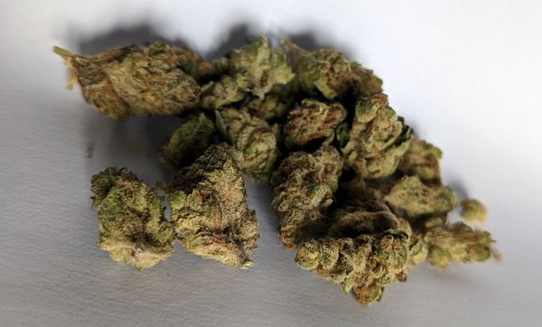 Redecan Black Cherry Punch