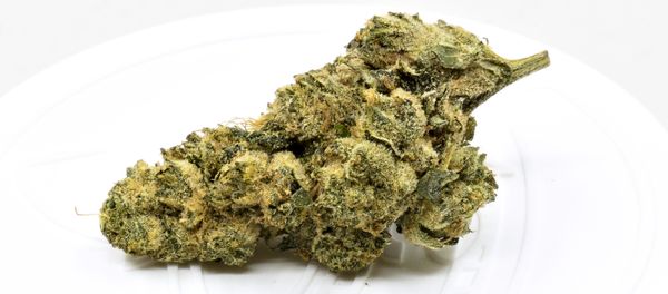 Bubba Kush From Whistler Medical Marijuana Corporation