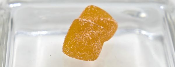Camino Sours Sour Orchard Peach 1:1 Soft Chews